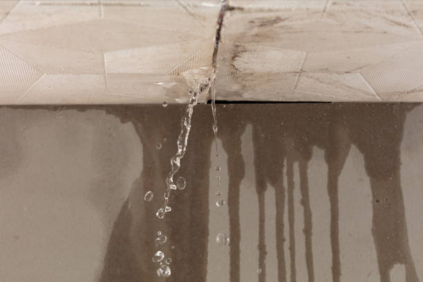 Professional Flood Damage Cleanup technician working in Woodlake, VA